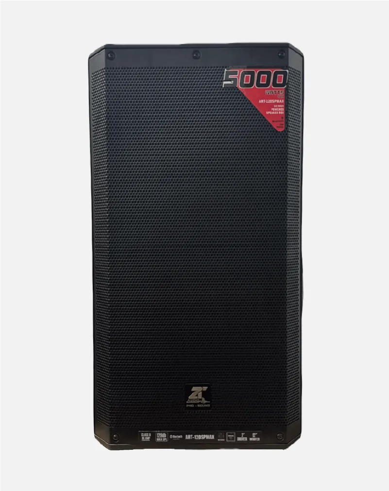 ART 12 DSPMAX